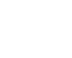 Amarante Insurance Agency Logo
